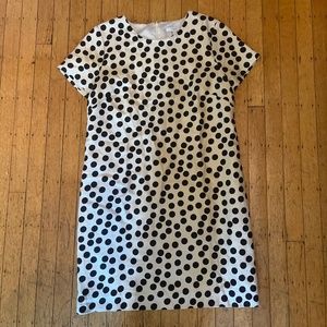 JCrew Polka Dot Dress
